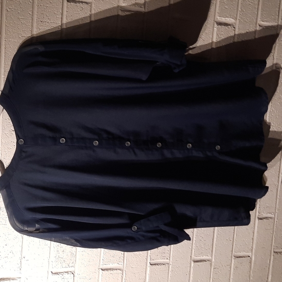 Daniel Rainn Blue Sheer Button Blouse - Picture 5 of 5